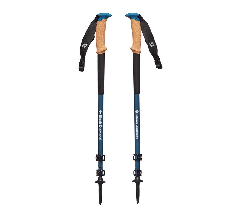 Black Diamond Alpine Carbon Cork WR Unisex Trekking Poles Beige | QNFJD6419