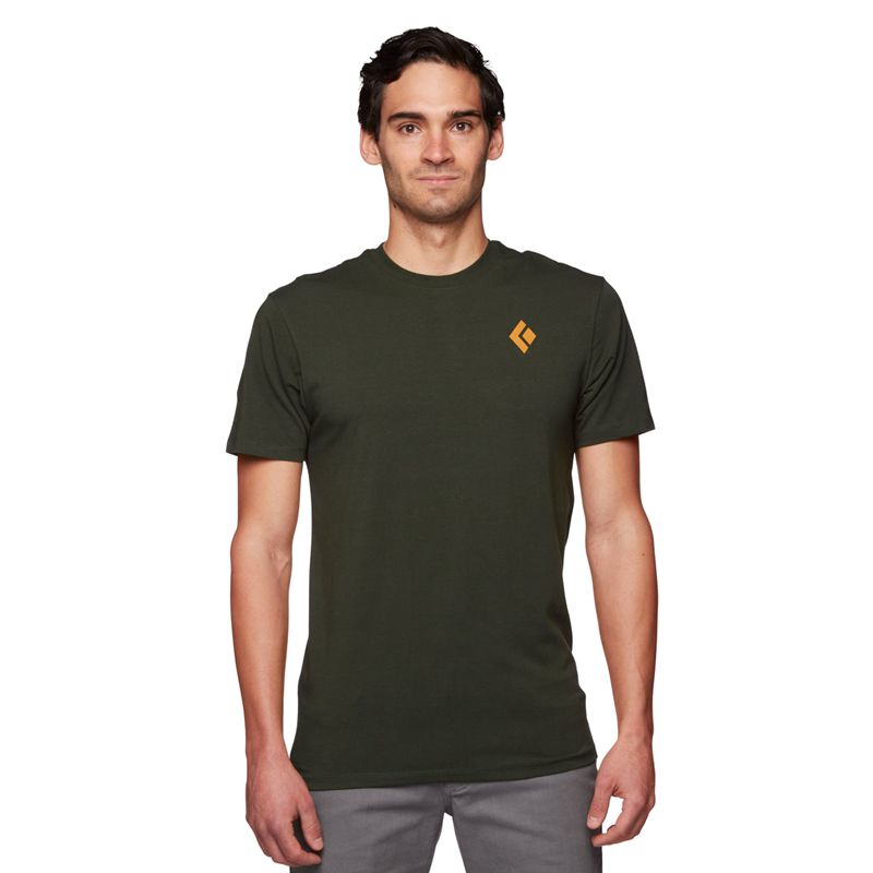 Black Diamond BD Mountain Badge SS Men's Tops Grey Green | DAYRE1802