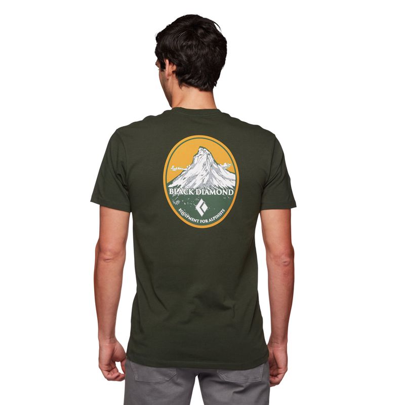 Black Diamond BD Mountain Badge SS Men's Tops Grey Green | DAYRE1802