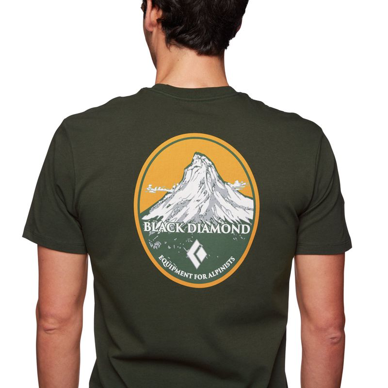 Black Diamond BD Mountain Badge SS Men's Tops Grey Green | DAYRE1802