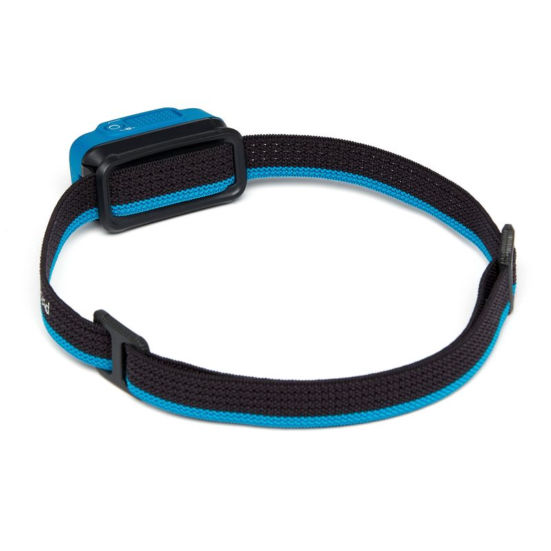 Black Diamond SpotLite 200 Unisex Headlamps Blue | TINJL0765